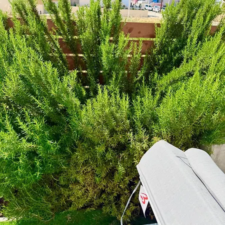 Rhodes 365 * Sgourou